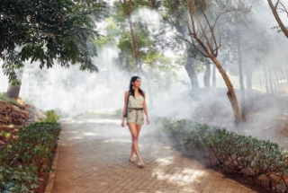 Foliage Garden Trail